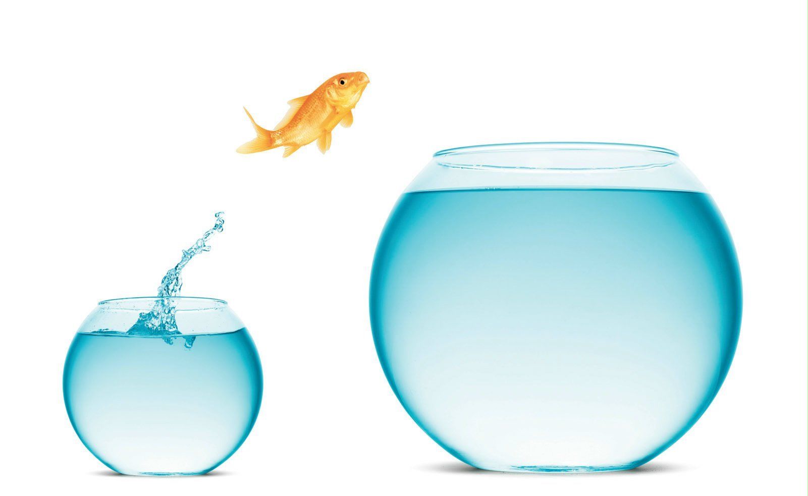 Desafios na produção de animações em 3D para empresas 9